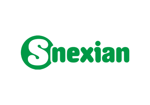 nexian logo